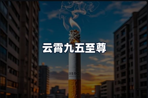 云霄九五至尊